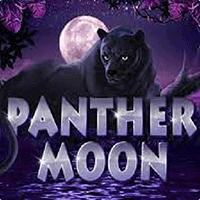 permainan slot Panther Moon provider Playtech dari situs slot gacor PENGAWAS4D